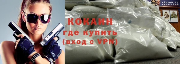 дживик Няндома