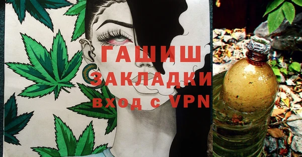 дживик Няндома