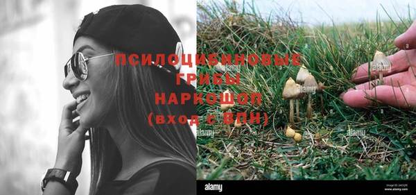 дурь Горняк