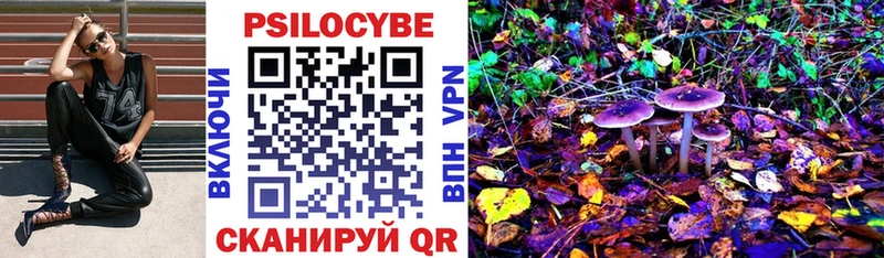 Купить закладки  Кремёнки  Псилоцибиновые грибы MAGIC MUSHROOMS 